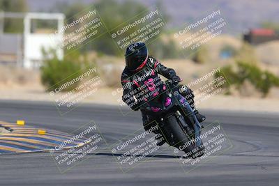 media/Nov-11-2023-SoCal Trackdays (Sat) [[efd63766ff]]/Turn 5 (1010am)/